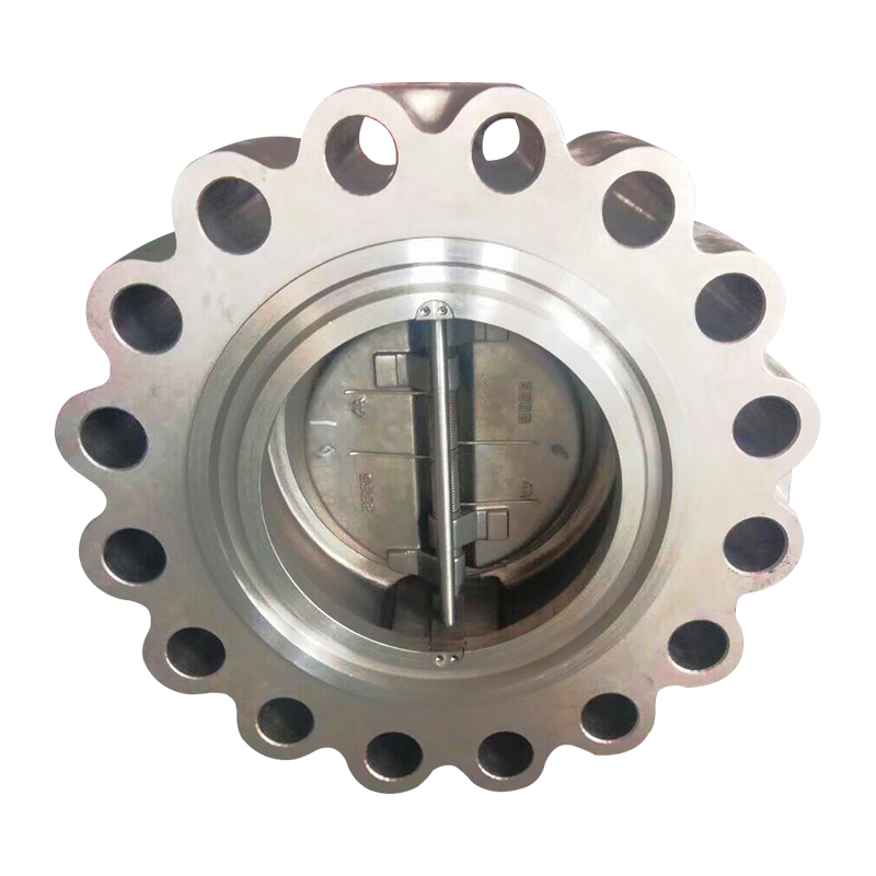 professional factory for Throttle Check Valve - Lugged Wafer Check Valve – Newsway detail pictures