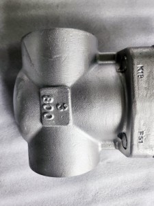 3 inch Gate Valve Class 800, F51 Material
