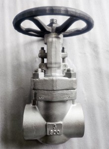 3 inch Gate Valve Class 800, F51 Material