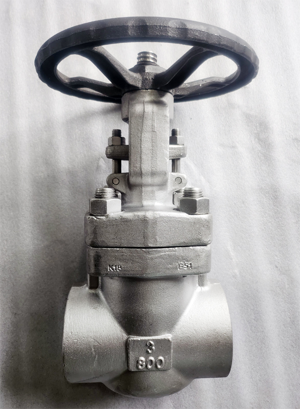 3 inch Gate Valve Class 800, F51 Material detail pictures