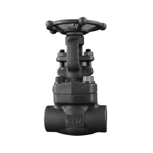 High Quality Api602 Check Valve - Bolted bonnet Forged Gate Valve – Newsway