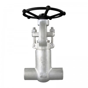 Api Slab Gate Valve - Pressure Sealed Bonnet Globe Valve – Newsway
