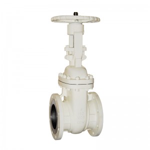 Russia Gate Valve - API600 Gate Valve – Newsway