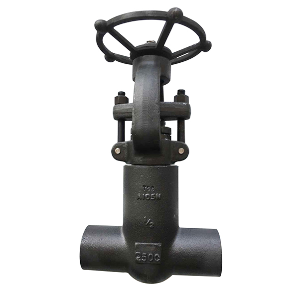 2020 Good Quality Class 800 Globe Valve - Pressure Sealed Bonnet Gate Valve – Newsway detail pictures