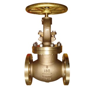 Forged Steel Y Parttern Globe Valve - C95800 globe valve – Newsway