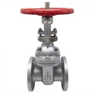 Stainless Steel Gate Valve