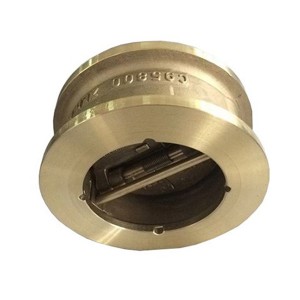 C95800 Dual Plate Check Valve