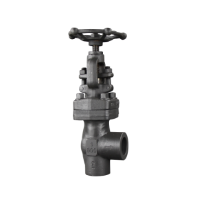 Excellent quality Api600 Gate Valve - A105 Angle Valve – Newsway
