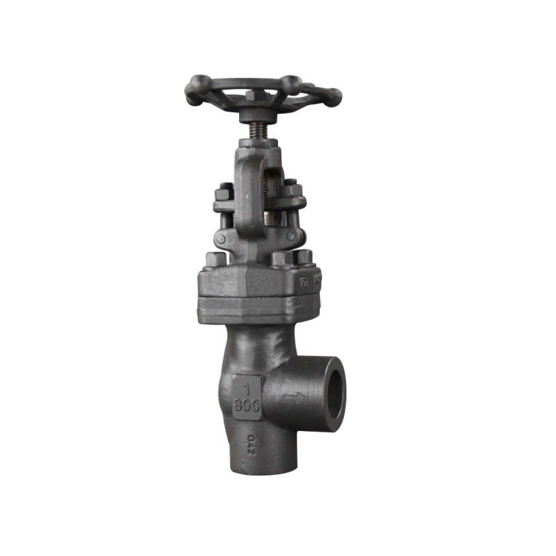 Api 600 Cast Steel Gate Valve - A105 Angle Valve – Newsway