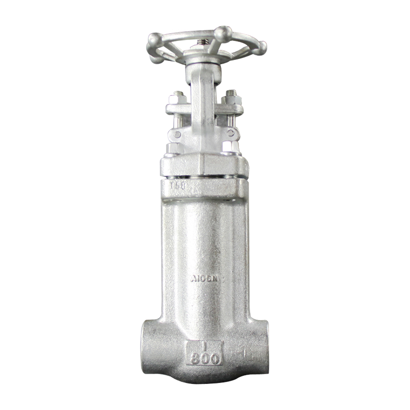 Api602 Check Valve - API 602 Bellows Sealed Globe Valve – Newsway