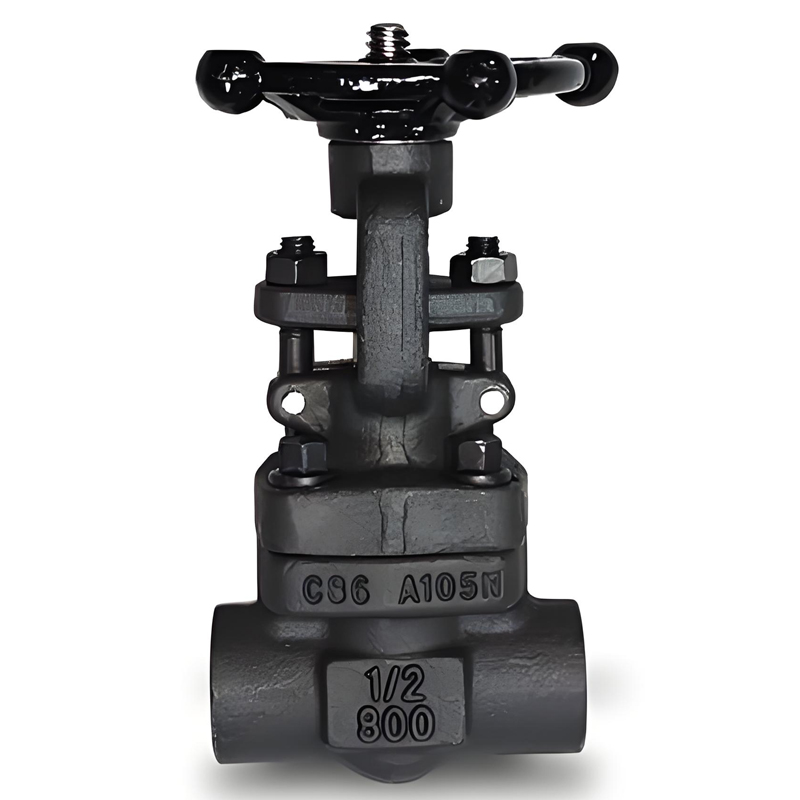 API 600 vs API 602: Understanding the Differences in Gate Valves