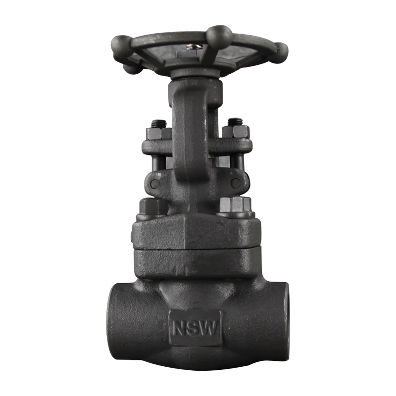 High Quality Api602 Check Valve - API 602 gate valve – Newsway
