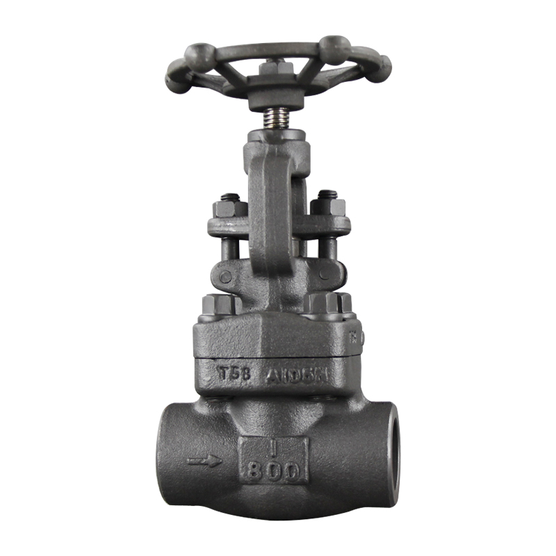 2020 wholesale price A105 Check Valve - API602 Globe Valve – Newsway