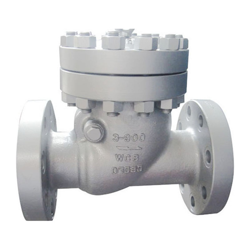 OEM China Double Plate Check Valve - API 6D Swing Check Valve – Newsway