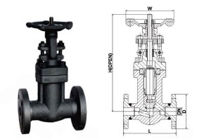 API 602 Bellows Sealed Globe Valve