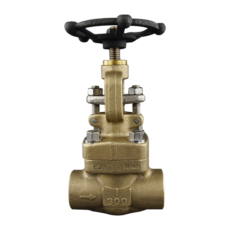 100% Original Api602 800lb Check Valve - C95800 globe valve API 602 – Newsway detail pictures
