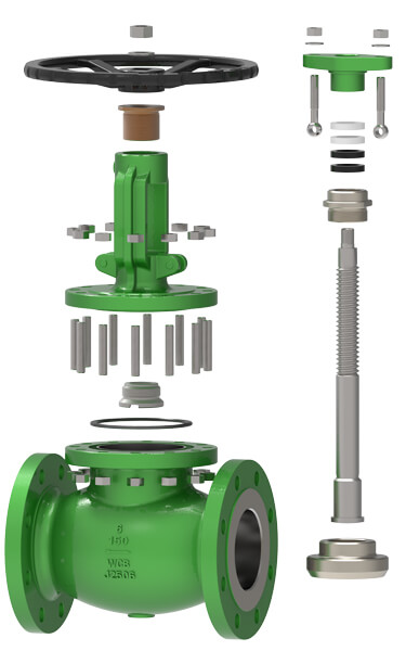 Components of a Globe Valve