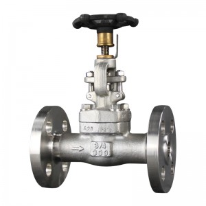 Api600 Gate Valve - F304 Flange Gate Valve – Newsway