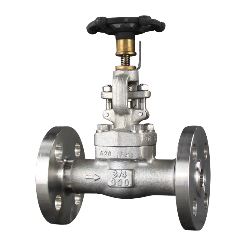 A105 Globe Valve - F304 Flange Gate Valve – Newsway