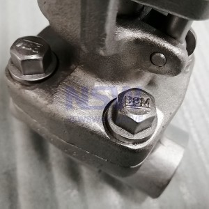 100% Original Factory China A105 Y Type Forged Steel Globe Valve Manufacturer