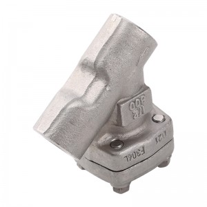API 602 Y strainer