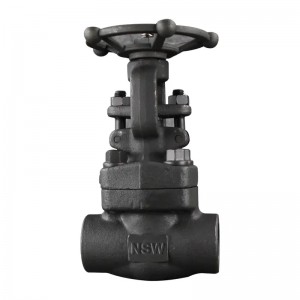 Fixed Competitive Price China Socket Weld Forged Steel Gate Valve 800lb