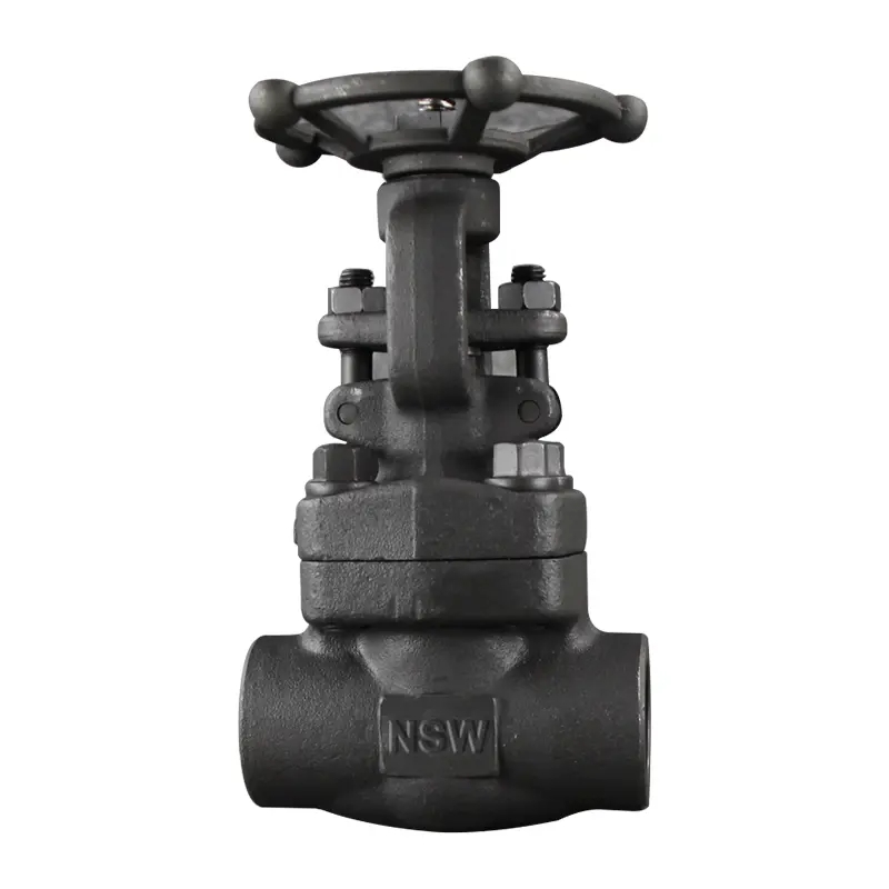 Api 6a Plug Valve - Forged Steel Gate Valve – Newsway