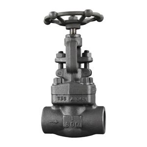 Forged Globe Valve