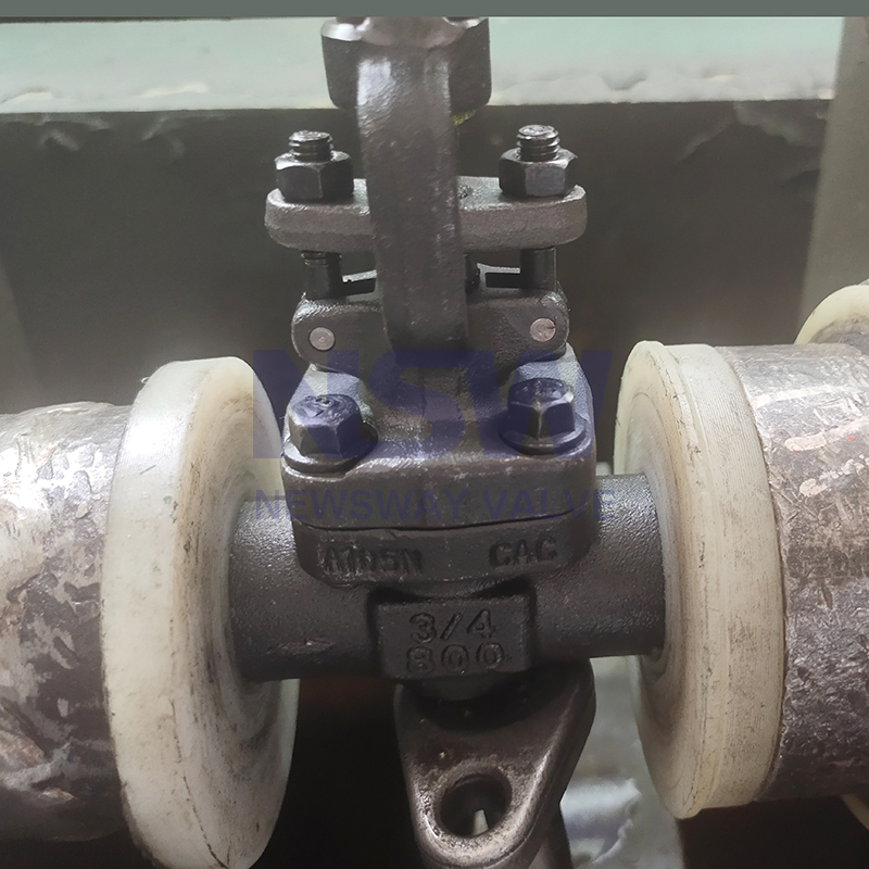 Api Female Thread Globe Valve - API 602 gate valve – Newsway detail pictures