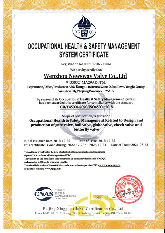 ISO 45001 - NSW VALVE MANUFACTURER