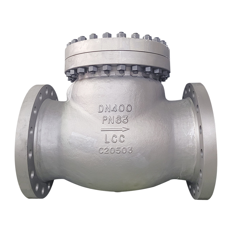 Dual Plate Check Valve - LCC Swing Check Valve – Newsway detail pictures