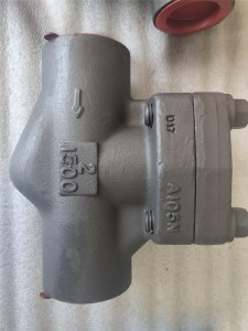 API 602 piston check valve