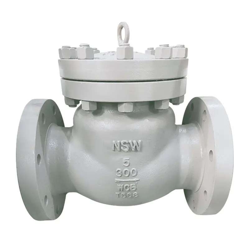 Double Door Check Valves - BS 1868 SWING CHECK VALVE – Newsway detail pictures