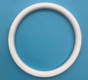 PTFE Valve Seat