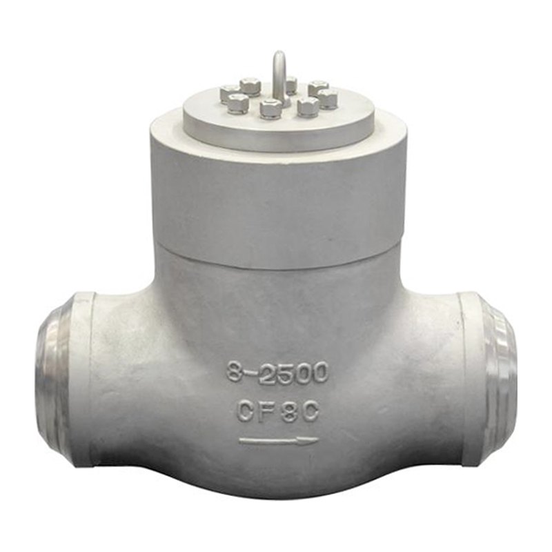 Dual Check Valve - Pressure Sealed Bonnet Check Valve – Newsway detail pictures