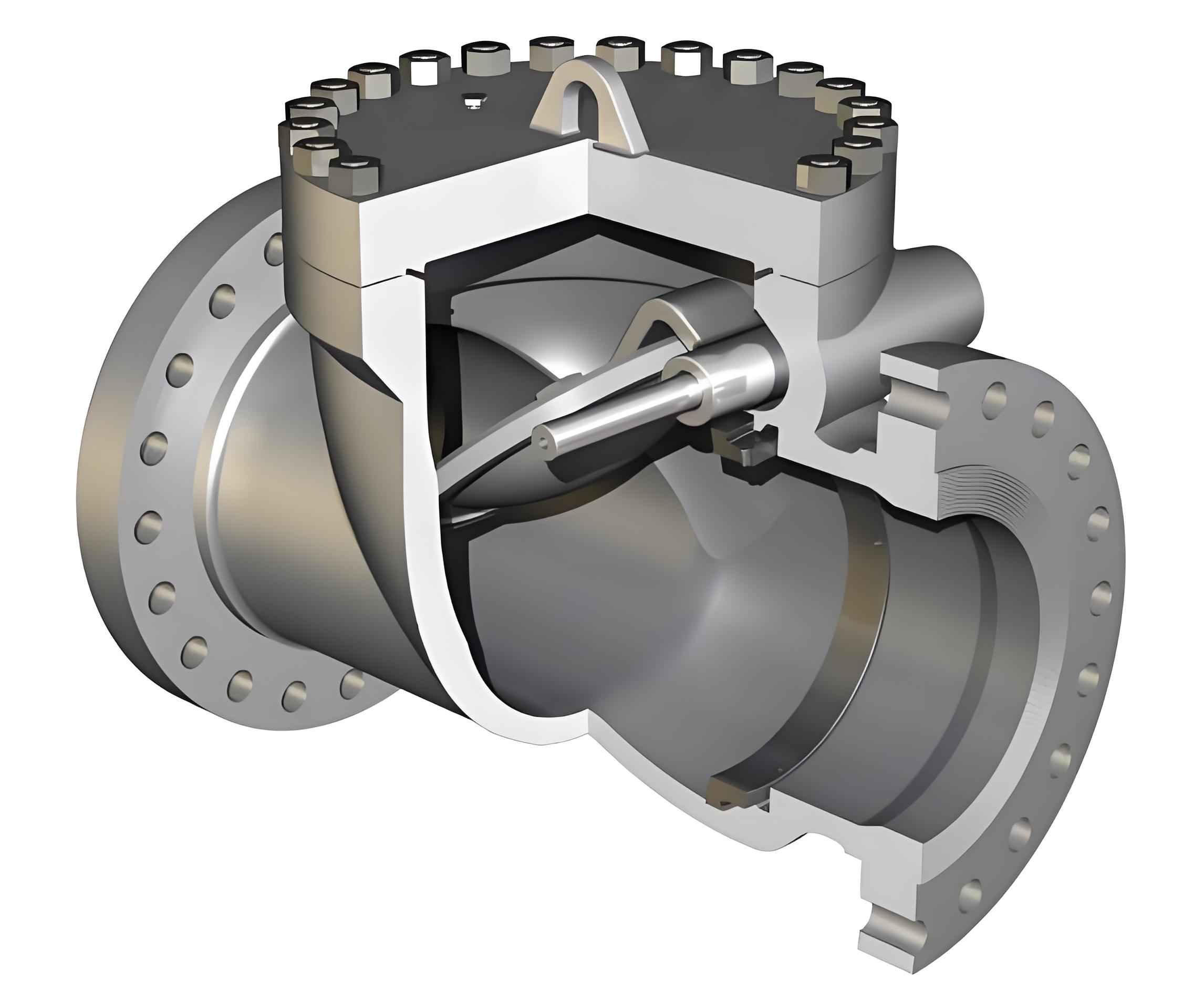 What is a Check Valve: Ultimate Guide of Type and Standard.