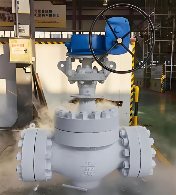 Top Entry Cryogenic Ball Valve