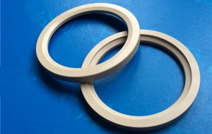 Valve Seat PEEK