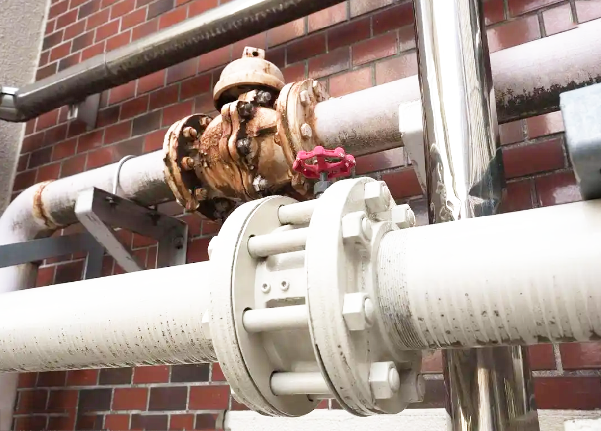 Introduction to the principle of check valve