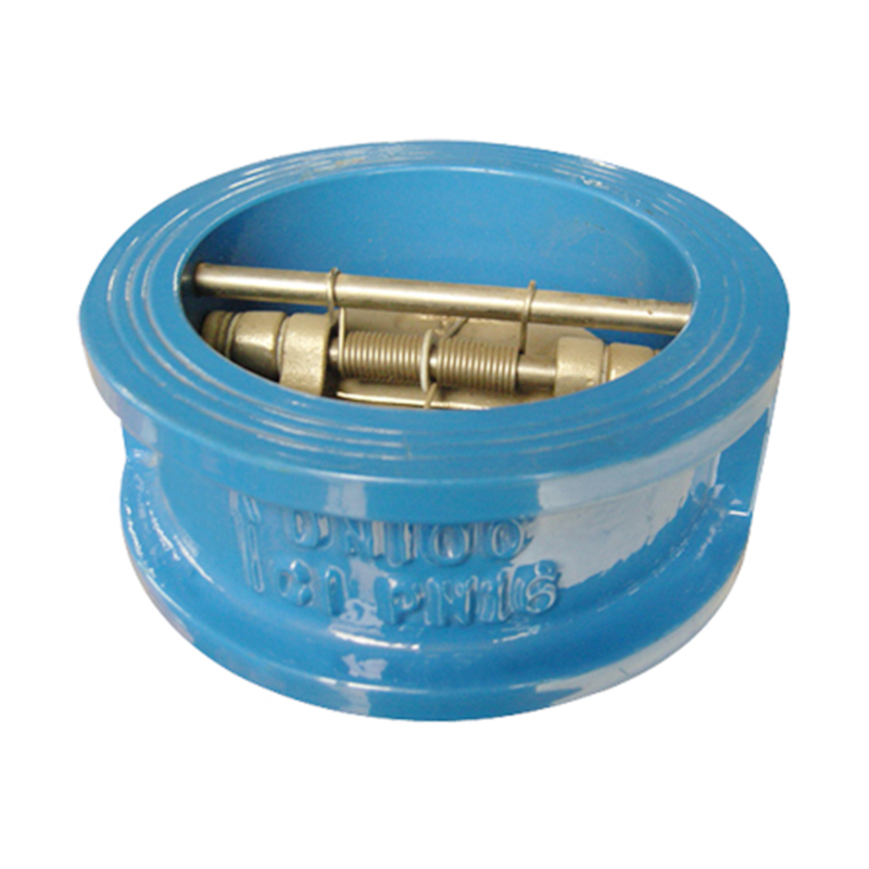 New Fashion Design for Clean Check Valve - Dual Plate Check Valve – Newsway